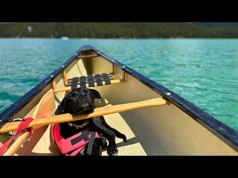 Jasper National Park