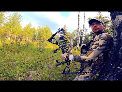 Bow Hunting for Whitetails