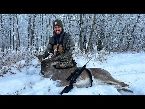 Whitetails and Elk: 2024