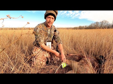 Filling a Mule Deer Tag